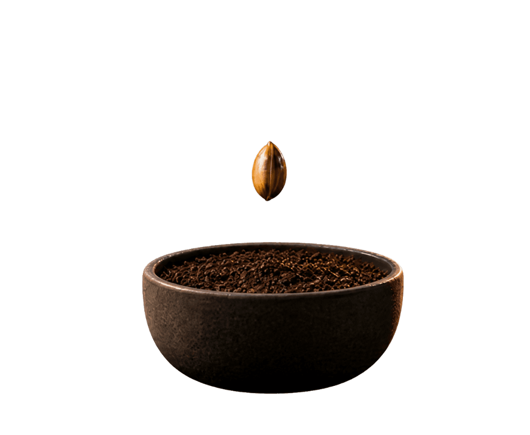 Seed stage